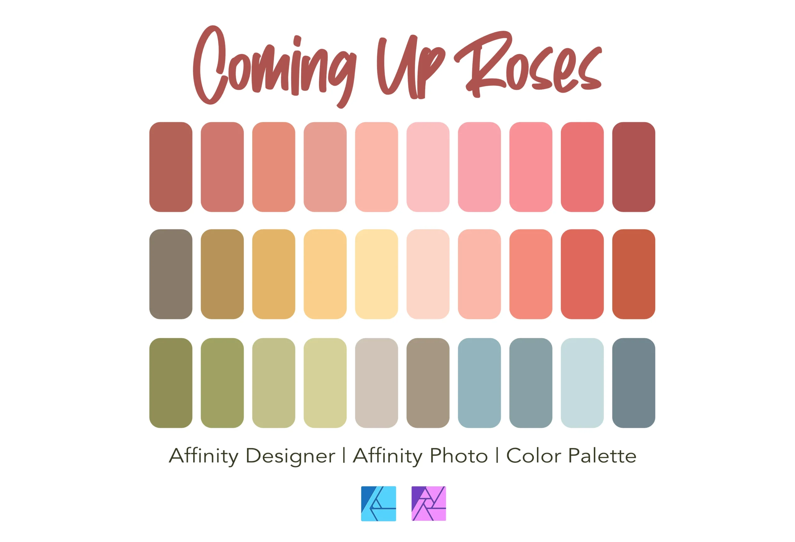 Affinity Designer Color Palette Bundle | Coming Up Roses | Color Swatches | Instant Download | Digital Color | Affinity Photo | 30 Colors