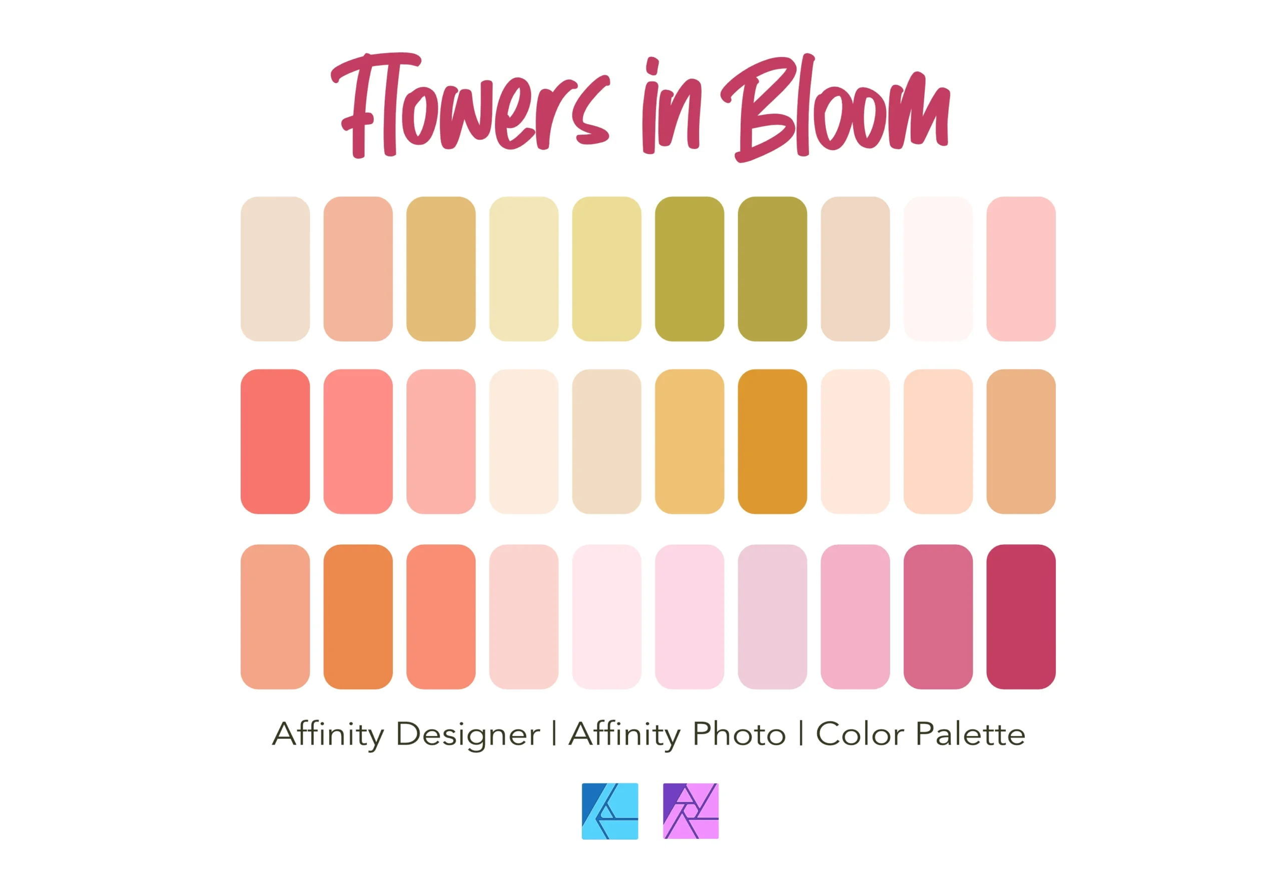 Affinity Designer Color Palette Bundle | Flowers in Bloom| Color Swatches | Instant Download | Digital Color | Affinity Photo | 30 Colors